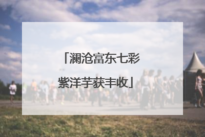 澜沧富东七彩紫洋芋获丰收